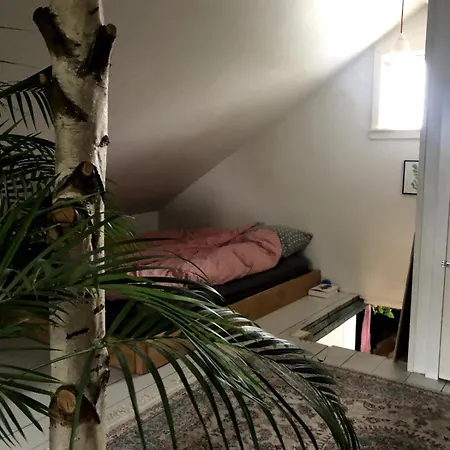 Cozy Close To Nyaraló